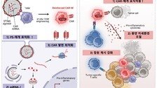 KAIST ‘면역세포 깨워 암 공격’ 새 치료법 개발