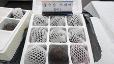 중국산 농산물 검역 안받고 불법 수입…1150t 들여온 일당 적발