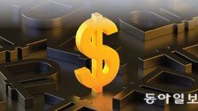 달러 풀기 시작한 기업들…5대 은행 달러예금 4% 가까이 줄어