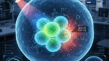 빛으로 암세포 죽인다…고려대 연구팀 ‘광 치료’ 기술 개발
