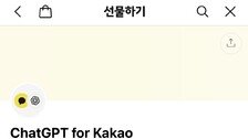 “29만원짜리 챗GPT프로가 2.9만원? 이건 사야해!”…카카오 단독 할인