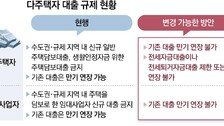 임대사업자-다주택자 대출 연장 ‘원천 봉쇄’ 검토