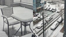 “대구에 이렇게 눈이 온다고?” 시민들도 놀란 ‘2월 폭설’