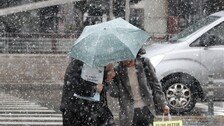 [날씨]대체공휴일 전국 비·눈…강원 최대 5㎝ 대설