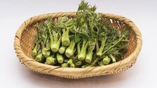 두릅, 사포닌 등 풍부… 겨울잠 입맛 깨우는 ‘봄나물 왕’ [오늘의 먹거리]