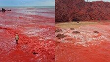 “하늘에서 붉은 비가 쏟아진다” 유럽 덮친 ‘블러드 레인’
