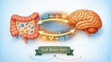 기억력 저하, 뇌만의 문제 아니다…‘장-뇌 축’ 노화 기전 발견[노화설계]