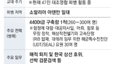 청해부대 또 호르무즈 파병 거론…“6년전보다 위험해 신중해야”