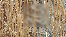 “혹시나” 무안공항 담벼락 둘러보다 또 ‘유해 추정’ 10여점 발견