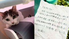 “내일 수술, 더는 못 돌봐”…현금·쪽지와 남겨진 고양이