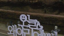 [고양이 눈]나를 사랑하는 하루