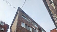 고양이 사체 옆에 뼈만 남은 딸아이…20대 친모는 뭘하고 있었나[더뎁스]