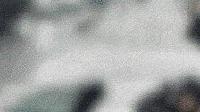 日여행 중 하수구 갇힌 백로 구조한 한국인 가족 (영상)