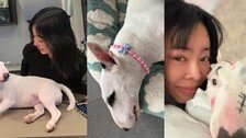 ‘동물학대’ 여론…이혜영, 메이크업 없는 반려견 재공개
