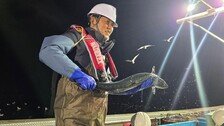 민주는 東進, 김부겸 오늘 대구 출마선언… 정청래, 영덕 대게잡이 배 타며 ‘TK 구애’