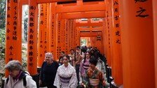“날씨보다 입맛”…한국 MZ, 일본 여행에 푹 빠진 이유 [트렌디깅]