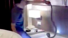 호텔 침대서 코브라가 ‘쉭쉭’…태국 관광객 혼비백산