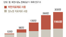 ‘입맛’ 잃은 미국인들… 비만치료제가 美소비 지형 바꿨다