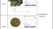 ‘건강차’라고 해서 마셨는데…‘이 식물’ 알고보니 식용 금지