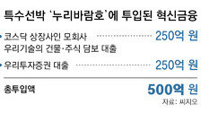 [단독]대출 번번이 퇴짜맞던 누리바람호, ‘혁신금융’ 250억이 띄웠다