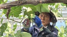 정청래 “하정우 부산출마 삼고초려…곧 공개 요청할 것”