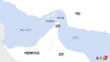 휴전 이후 호르무즈 11척 통과…모두 이란 연계된 선박
