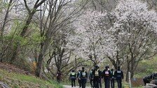 탈출 엿새만에 얼굴 드러낸 늑구…포획망 뚫고 도망