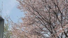 이영애, 휠쳬어 탄 父와 손 꼭 잡고 미소 “따뜻한 양평 문호리 집”