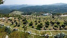 “어머니 살아있다” 화장 직전 시신 집으로 옮긴 70대 딸