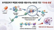 국내 연구진 ‘암세포 사멸’ 유도하는 백혈병 항암제 원리 규명
