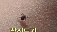 “백신도 약도 없다” 등산 중 ‘이것’ 물렸다간 구토·설사…사망할 수도