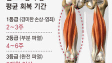 악! 야말이 쓰러졌다… 월드컵 부상 경계령