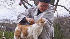 “고양이 통해 기다림의 지혜 배워… 사람들도 너무 애쓰지 않았으면”