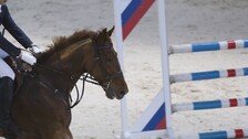 죽은 말에 6시간 깔린 호주 승마 선수…끝내 양다리 잃어