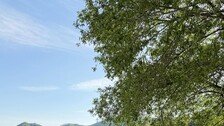 전진♥류이서, 결혼 7년차에도 달달…여행지서 입맞춤