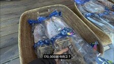 “17만원 마른오징어”…‘비계 삼겹살’ 이어 울릉도 또 바가지 논란