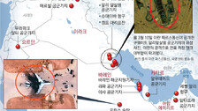 “중동 미군기지 피해 예상보다 훨씬 커, 건물-장비 228개 파괴”