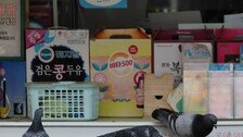 [고양이 눈]로또 명당