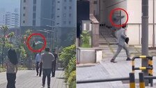 “눈 마주치지 마” 얼굴 기억했다 괴롭힌다…도심의 ‘검은 폭군’
