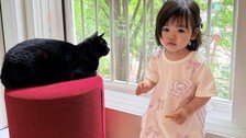 박수홍, 반려묘 방치 의혹에…딸·다홍이 근황 사진 공개