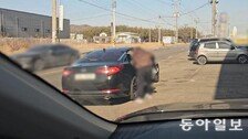 “택시보다 저렴”…주말 ‘콜뛰기’ 영업한 외국인 근로자 29명 적발