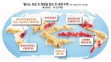 적도 태평양 수온 3도 높을 듯… 한반도 ‘사우나 열돔’ 갇힌다[글로벌 포커스]