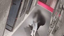 부산 돌려차기男, 1억 배상은 않고 “월15만원 영치금 사용 보장해달라”