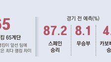 스페인 ‘무적함대’ 소나기 슈팅 막아낸 섬나라 ‘40세 거미손’
