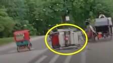 뉴욕 센트럴파크 관광마차 폭주…18세 인도 소년 숨져