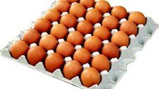 달걀 한 판에 평균 7500원… “할인시간 마트로 오픈런”