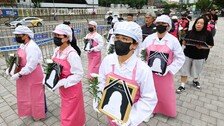 “담배 안하는데 폐암이라니”…주방이 위험한 이유
