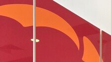 김흥국, 홍명보에 “사생결단하라”…LA서 응원전