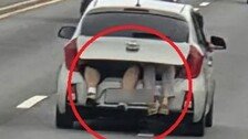 트렁크에 사람 태우고 다리로 번호판까지 가려…‘황당 질주’