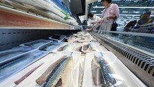 “고등어 2000t 확보하라”… 정부, 노르웨이에 특사단